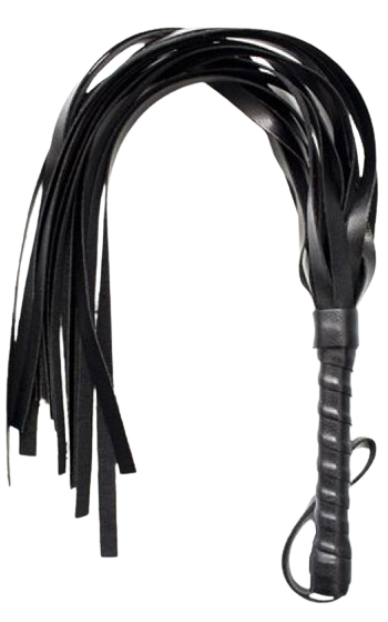 Squash Whip