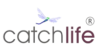 varumärkesbild catchlife