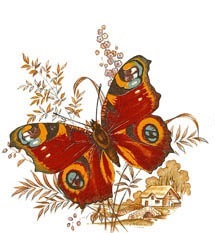 Decor 06-AA