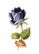 Decor 224-K