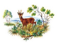 Decor 474-D