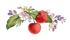 Decor 543-B30