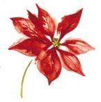 Decor-547G