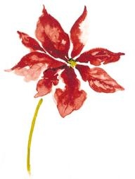 Decor-547E