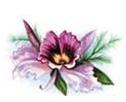 Decor-275C