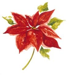 Decor-547D