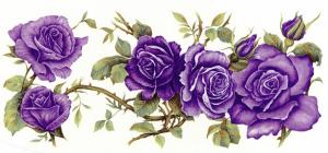 Decor 593-B