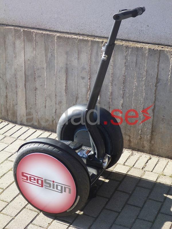 SegSign Spins