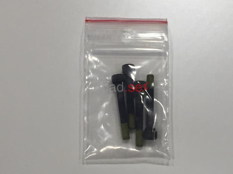 Batteriskruv Segway (4st)