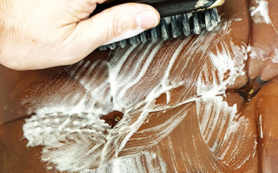 rengöring av brunt anilinläder med rengöringsmedel i skumform och rengöringsborste