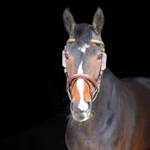 Fokus/Blinkers Till Sidostycke Brun Full