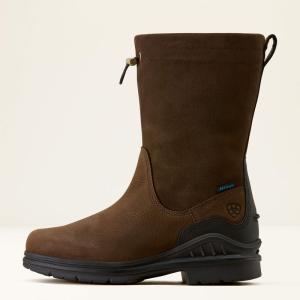 Stövel Ariat Barnyard Brooke Waterproof Dam Vint. Brwn