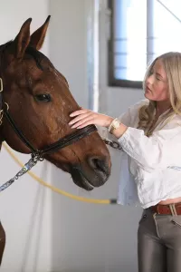 Inpackning Rodhe Get Some Glaze 500ml