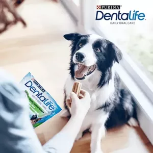 DENTALIFE MEDIUM 24-p