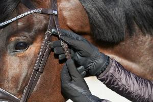 Vinterhandske Lucy EQ Svart