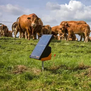 Gallagher S200 inkl batteri och solpanel