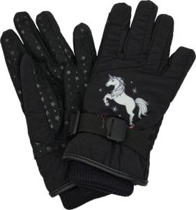 Vinterhandske Siri Vinter EQ Svart