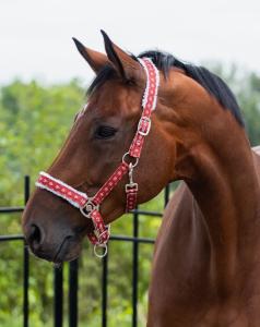 Grimma Julmotiv Rudolph