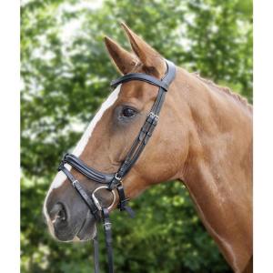 Träns Anatomic Hkm Brun