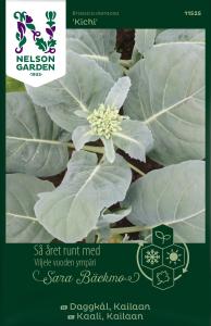 Kål, Dagg-, Kailaan, Kichi