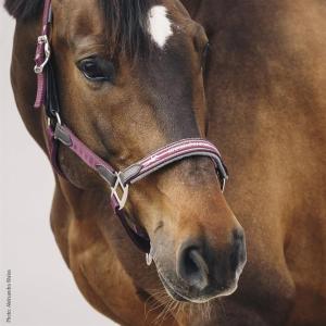 Grimma Memphis Safety Burgundy