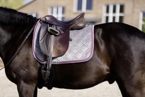 Schabrak Dr Berry Deep Grey