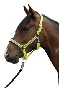 Grimma Reflex HKM Neongul