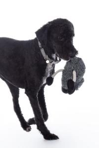 Hundleksak Buddy Sheep Grå/Svart