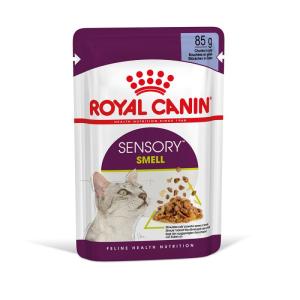 RC Sensory Smell Gravy 12x85g