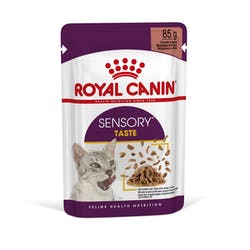 RC Sensory Taste Gravy 12x85g