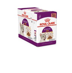 RC Sensory Taste Gravy 12x85g