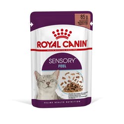 RC Sensory Feel Gravy 12x85g