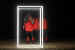 Regntäcke Halvhals Beta 50g Dynamic Poppy Red