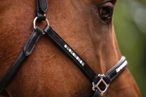 Lädergrimma Sparkle HKM Svart