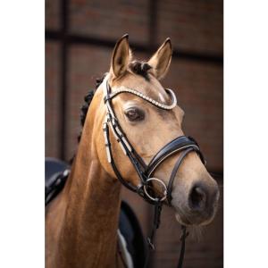 Träns Limone Elegant Hkm Svart/Beige