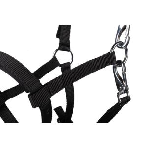 Fölgrimma Millie HKM