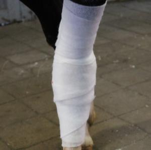 Polstervadd Cellona 4-Pack 10cmx3m