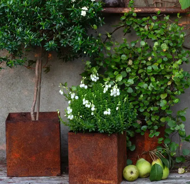 Kruka ELD Kvadrat Rost