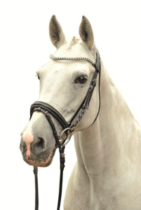 Pannband Jule HKM Svart Ponny