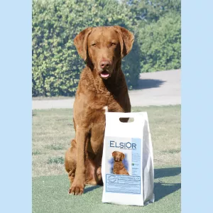 Elsior Exclusive Ocean Breeze