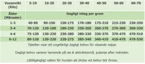 Elsior Mother & Puppy