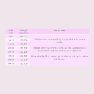 Elsior Easy Rizzy Rabbit