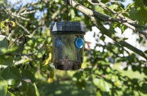 Flug & Geting lockmedel Attractis 500 ml