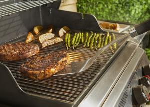 Precision Grillspade