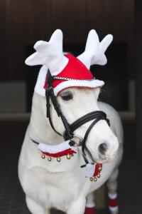 Renluva Till Häst Röd Full