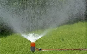 Spray-Sprinkler Fox
