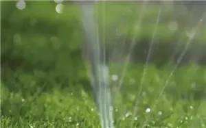 Sprinklerslang 15 m Grön