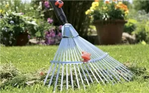 Bladfjäderräfsa, ställbar