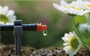 Droppslang 50m ovan jord inkl. tryckutjämnare