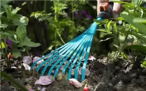 combisystem fjäderräfsa